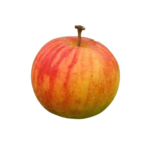 Bala Sundari Ber Apple (1kg)