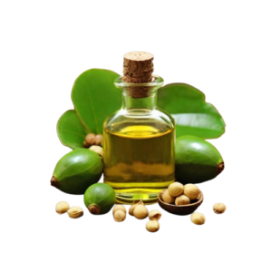 Mahuva Oil (100g)