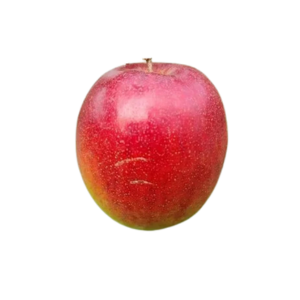 Miss India Ber Apple (1kg)