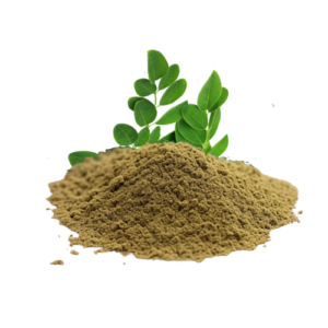 Moringa Leaf Spice Powder (100g)