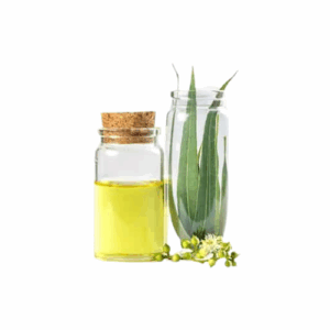 Mahuva Oil with Eucilyptus Oil (100g)