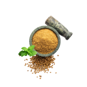 Pudhina Coriander Spicy Powder (100g)