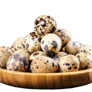 Fresh Quail Eggs-12 No's