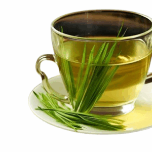 Moringa Lemon Grass Tea